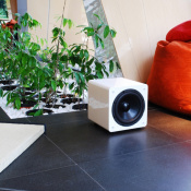 Сабвуфер Taga Harmony inMOVE 8 High Gioss White 4 – techzone.com.ua Сабвуфер Taga Harmony inMOVE 8 High Gioss White 4 – techzone.com.ua