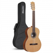 Классическая гитара Alhambra ZNature BAG AL-0115