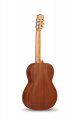Классическая гитара Alhambra ZNature BAG AL-0115 2 – techzone.com.ua