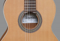 Классическая гитара Alhambra ZNature BAG AL-0115 4 – techzone.com.ua