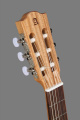 Классическая гитара Alhambra ZNature BAG AL-0115 5 – techzone.com.ua