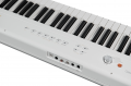 Цифрове піаніно Artesia Performer White 4 – techzone.com.ua