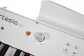 Цифрове піаніно Artesia Performer White 5 – techzone.com.ua