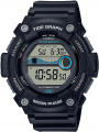 Годинник Casio TIMELESS COLLECTION WS-1300H-1AVEF – techzone.com.ua