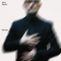 LP2 Moby: Reprise (The Remixes) -Hq 1 – techzone.com.ua