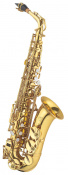 J.MICHAEL AL-600 (P) Alto Saxophone