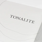 Навушники TWS Final Audio Tonalite Black 8 – techzone.com.ua