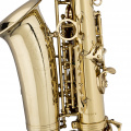 Альт-саксофон STAGG P WS-AS215S 3 – techzone.com.ua