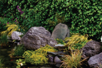 Ландшафтная акустическая система Paradigm Rock 80 SM Western sandstone 3 – techzone.com.ua Ландшафтная акустическая система Paradigm Rock 80 SM Western sandstone 3 – techzone.com.ua