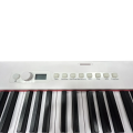 Цифрове піаніно Musicality HP88-WH _HammerPiano + чохол 3 – techzone.com.ua