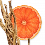 Parfums de Marly Perseus Парфумована вода для чоловіків 75 мл 4 – techzone.com.ua