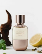 Brunello Cucinelli Vie Eteree Парфуми унісекс 100 мл 6 – techzone.com.ua Brunello Cucinelli Vie Eteree Парфуми унісекс 100 мл 6 – techzone.com.ua