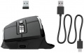 Миша JLAB Epic Wireless Black (IEUMEPICMOUSERBLK124) 2 – techzone.com.ua