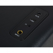 Моделюючий підсилювач MOOER Hornet 15i (Black) 4 – techzone.com.ua Моделюючий підсилювач MOOER Hornet 15i (Black) 4 – techzone.com.ua