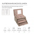 Шкатулка-кейс для украшений Friedrich Lederwaren Classico золотисто-розовая | 23238-93 6 – techzone.com.ua