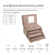 Скринька-кейс для прикрас Friedrich Lederwaren Classico золотаво-рожева | 23238-93 6 – techzone.com.ua