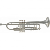 Труба SML Paris TP500S