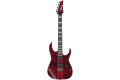 IBANEZ RGT1221PB SWL Електрогітара 1 – techzone.com.ua