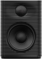 Акустична система FiiO SP3 Black 2 – techzone.com.ua