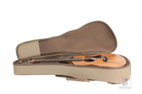 TAYLOR GUITARS GS MINI MAHOGANY Гитара акустическая 4 – techzone.com.ua TAYLOR GUITARS GS MINI MAHOGANY Гитара акустическая 4 – techzone.com.ua