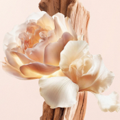 Givenchy Irresistible Nude Velvet Парфумована вода для жінок 50 мл 5 – techzone.com.ua