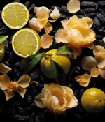 Kilian Woman in Gold Парфумована вода для жінок 50 мл coffret (Refillable) 6 – techzone.com.ua Kilian Woman in Gold Парфумована вода для жінок 50 мл coffret (Refillable) 6 – techzone.com.ua