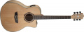 Акустическая гитара Washburn AG40CE – techzone.com.ua
